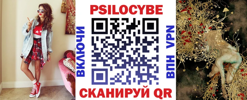 Псилоцибиновые грибы Psilocybe  сколько стоит  гидра зеркало  Сысерть 
